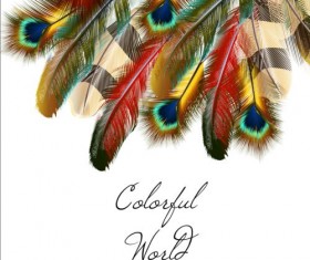 Beautiful feathers art background vector 03