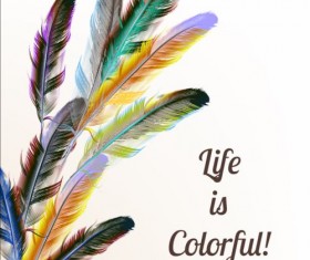 Beautiful feathers art background vector 04