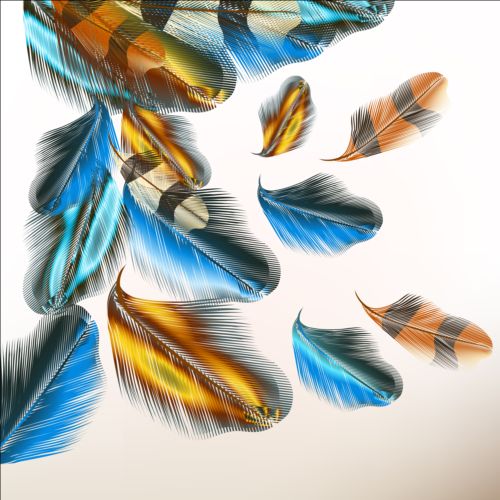 Beautiful feathers art background vector 05
