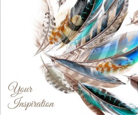 Beautiful feathers art background vector 06