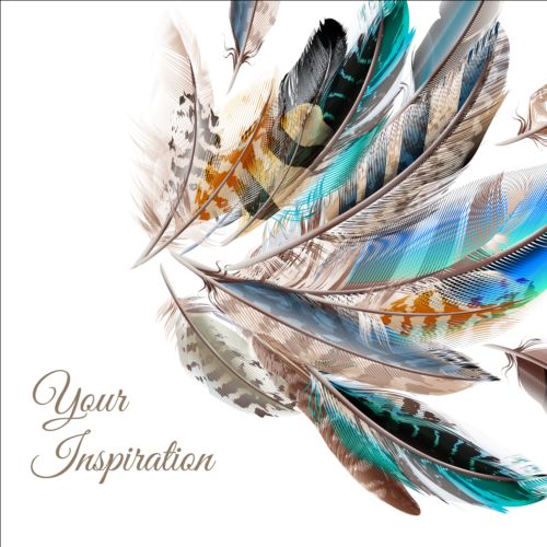 Beautiful feathers art background vector 06