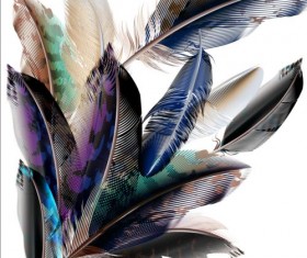 Beautiful feathers art background vector 08