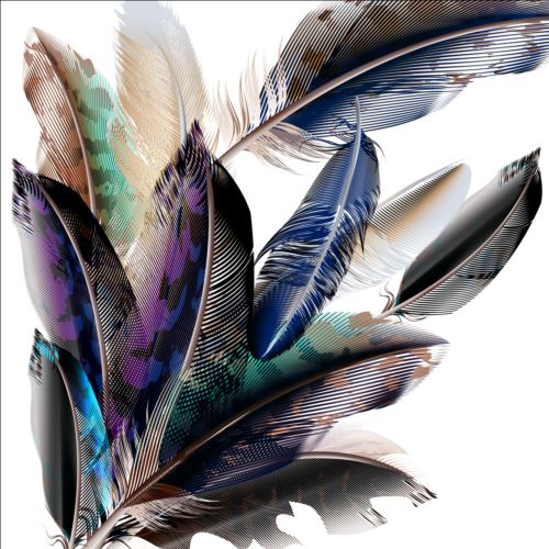 Beautiful feathers art background vector 08