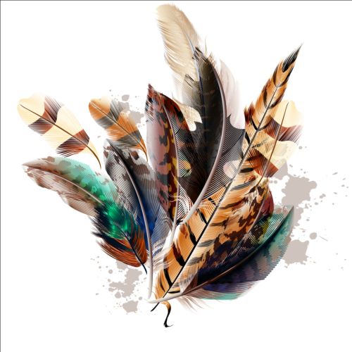 Beautiful feathers art background vector 09