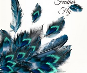 Beautiful feathers art background vector 10