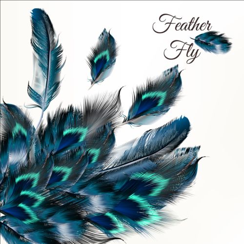 Beautiful feathers art background vector 10