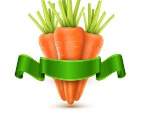 Carrot with green ribbon vector