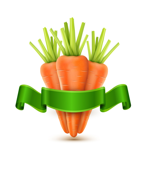 Carrot with green ribbon vector