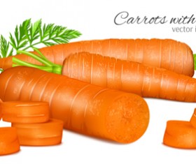 Carrots with leaves vector