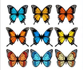 Colorful butterflies illustration vector collection 02