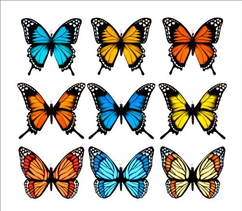 Colorful butterflies illustration vector collection 02