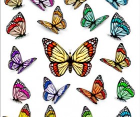 Colorful butterflies illustration vector collection 03