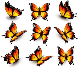 Colorful butterflies illustration vector collection 04