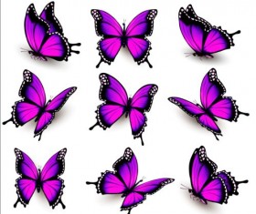 Colorful butterflies illustration vector collection 05