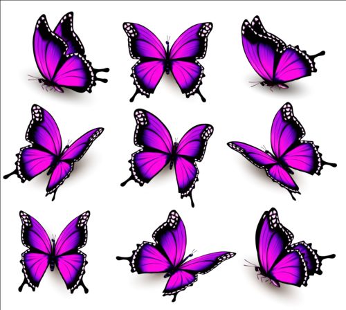 Colorful butterflies illustration vector collection 05
