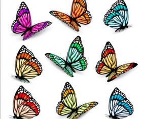Colorful butterflies illustration vector collection 06