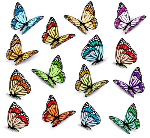 Colorful butterflies illustration vector collection 07