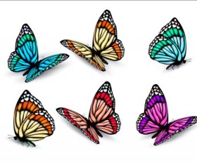 Colorful butterflies illustration vector collection 08