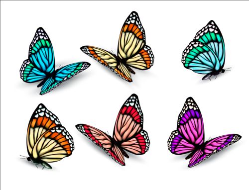 Colorful butterflies illustration vector collection 08 free download