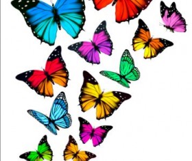 Colorful butterflies illustration vector collection 09