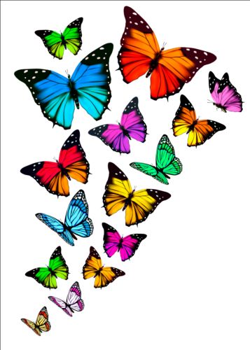 Colorful butterflies illustration vector collection 09