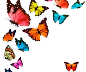 Colorful butterflies illustration vector collection 10