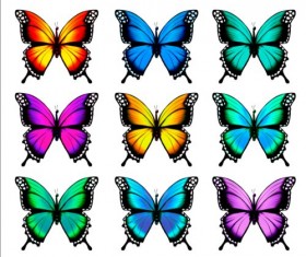 Colorful butterflies illustration vector collection 11