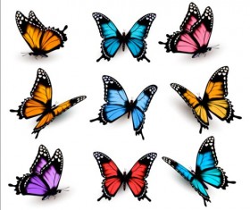 Colorful butterflies illustration vector collection 12