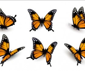 Colorful butterflies illustration vector collection 14