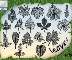 Different Leaves Brushes