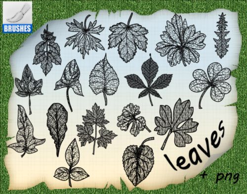 Different Leaves Brushes