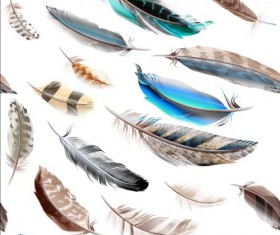Fashion feathers seamless pattern vectors 01