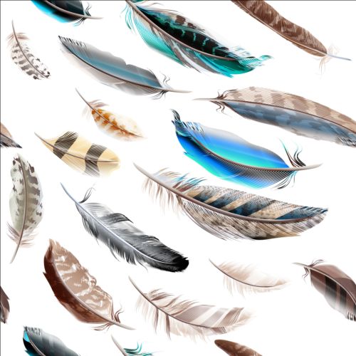 Fashion feathers seamless pattern vectors 01