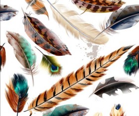 Fashion feathers seamless pattern vectors 03