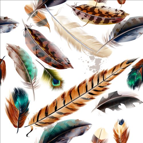 Fashion feathers seamless pattern vectors 03