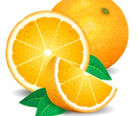 Fresh orange vector