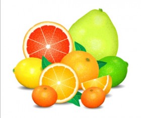 Fresh orange with lemon vector