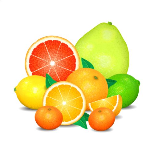 Fresh orange with lemon vector