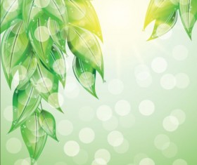Green leaves with halation background vector.r