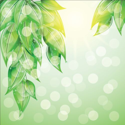 Green leaves with halation background vector.r
