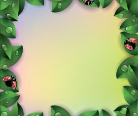 Green leaves with ladybug frame vector
