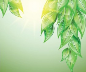 Green leaves with water drop vector background