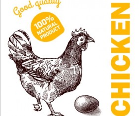 Hand drawn chicken eggs poster vector 05