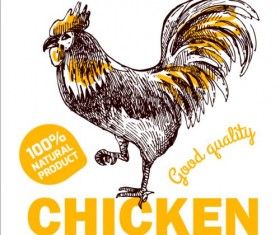 Hand drawn chicken eggs poster vector 06