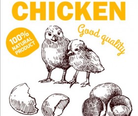 Hand drawn chicken eggs poster vector 07