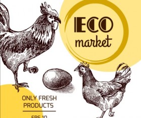 Hand drawn chicken eggs poster vector 08
