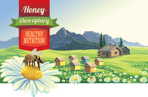 Honey with farm landscape vector 01