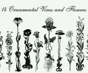 Ornamental vines and flower brushes
