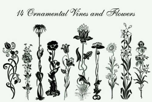 Ornamental vines and flower brushes