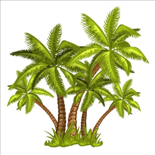 Palm tree illustration vector